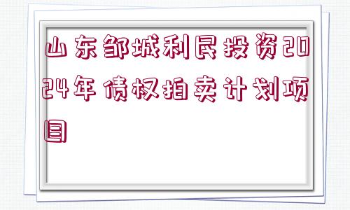 山東鄒城利民投資2024年債權(quán)拍賣計劃項(xiàng)目