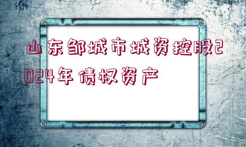 山東鄒城市城資控股2024年債權(quán)資產(chǎn)