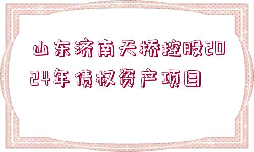 山東濟(jì)南天橋控股2024年債權(quán)資產(chǎn)項(xiàng)目