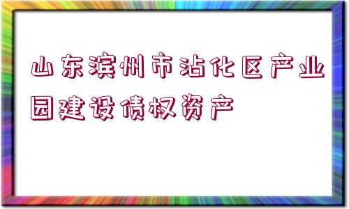 山東濱州市沾化區(qū)產業(yè)園建設債權資產