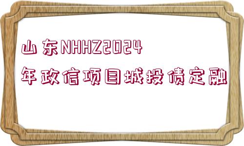 山東NHHZ2024年政信項目城投債定融