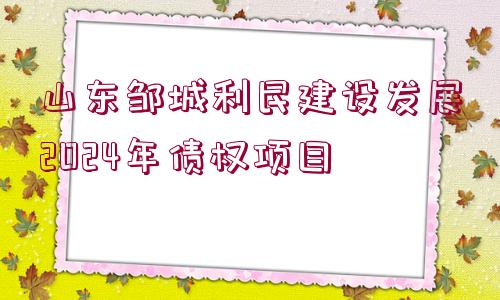 山東鄒城利民建設(shè)發(fā)展2024年債權(quán)項(xiàng)目