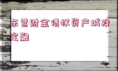 東營財(cái)金債權(quán)資產(chǎn)城投定融