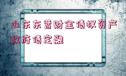 山東東營財金債權資產(chǎn)政府債定融