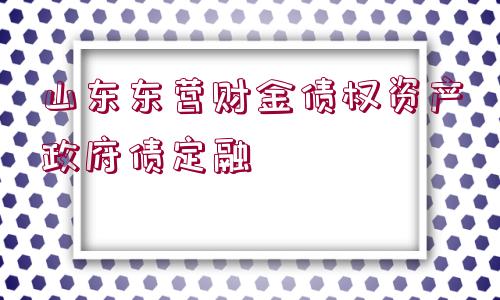 山東東營財(cái)金債權(quán)資產(chǎn)政府債定融