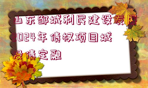 山東鄒城利民建設(shè)發(fā)展2024年債權(quán)項目城投債定融