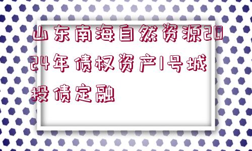 山東南海自然資源2024年債權(quán)資產(chǎn)1號(hào)城投債定融