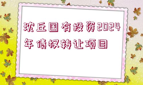 沈丘國有投資2024年債權(quán)轉(zhuǎn)讓項(xiàng)目