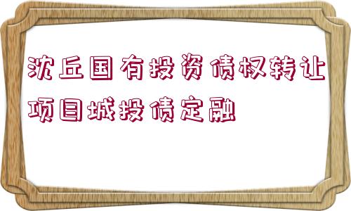 沈丘國(guó)有投資債權(quán)轉(zhuǎn)讓項(xiàng)目城投債定融