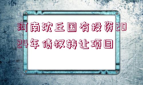 河南沈丘國有投資2024年債權轉讓項目