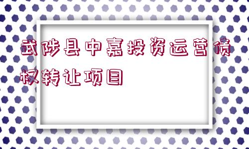 武陟縣中嘉投資運(yùn)營(yíng)債權(quán)轉(zhuǎn)讓項(xiàng)目