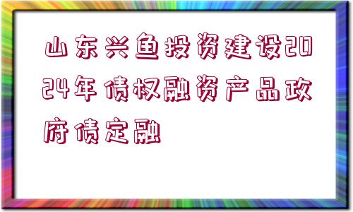 山東興魚(yú)投資建設(shè)2024年債權(quán)融資產(chǎn)品政府債定融