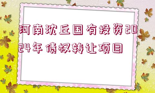 河南沈丘國有投資2024年債權(quán)轉(zhuǎn)讓項(xiàng)目