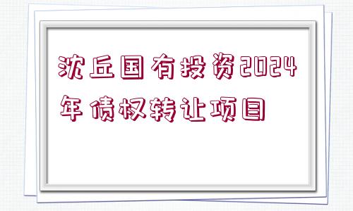 沈丘國有投資2024年債權轉讓項目