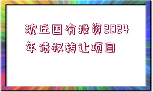 沈丘國(guó)有投資2024年債權(quán)轉(zhuǎn)讓項(xiàng)目