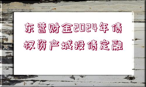 東營財金2024年債權資產(chǎn)城投債定融