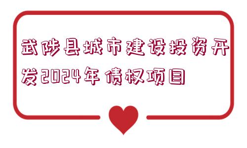 武陟縣城市建設(shè)投資開發(fā)2024年債權(quán)項(xiàng)目