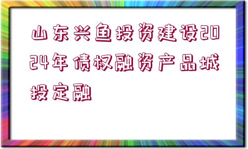 山東興魚(yú)投資建設(shè)2024年債權(quán)融資產(chǎn)品城投定融