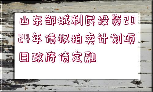 山東鄒城利民投資2024年債權(quán)拍賣計(jì)劃項(xiàng)目政府債定融