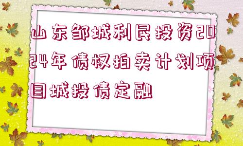 山東鄒城利民投資2024年債權(quán)拍賣計劃項目城投債定融