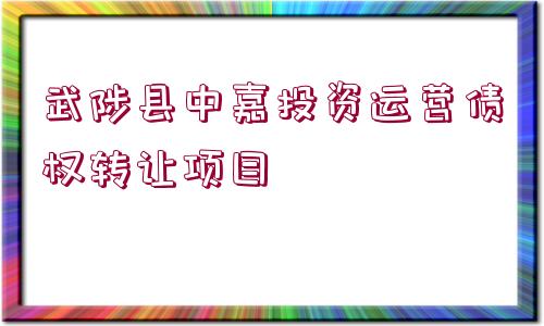 武陟縣中嘉投資運(yùn)營(yíng)債權(quán)轉(zhuǎn)讓項(xiàng)目