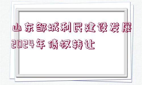 山東鄒城利民建設(shè)發(fā)展2024年債權(quán)轉(zhuǎn)讓