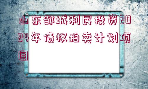 山東鄒城利民投資2024年債權(quán)拍賣計(jì)劃項(xiàng)目