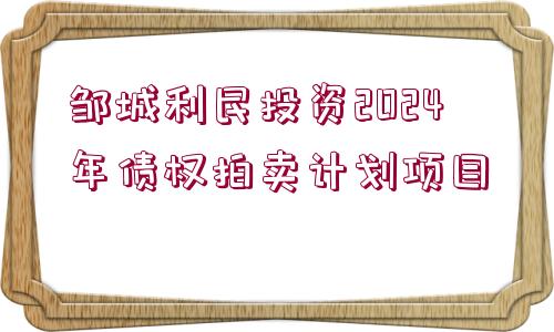 鄒城利民投資2024年債權(quán)拍賣計(jì)劃項(xiàng)目