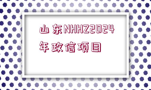 山東NHHZ2024年政信項(xiàng)目