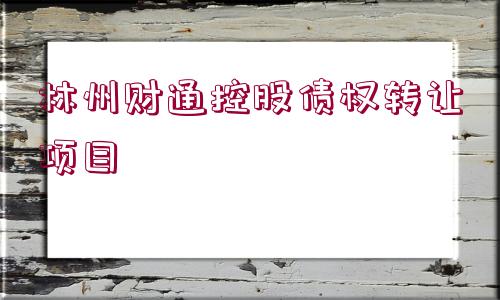 林州財通控股債權(quán)轉(zhuǎn)讓項目