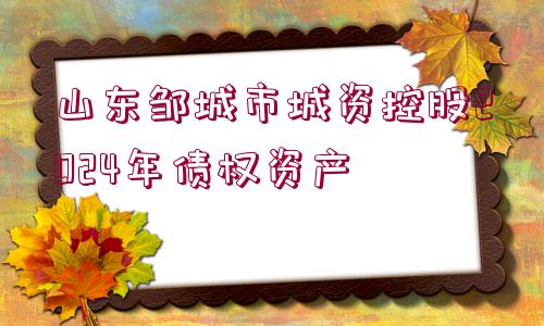 山東鄒城市城資控股2024年債權資產(chǎn)