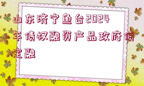 山東濟寧魚臺2024年債權(quán)融資產(chǎn)品政府債定融