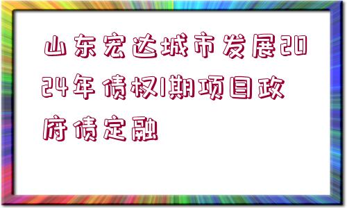 山東宏達(dá)城市發(fā)展2024年債權(quán)1期項目政府債定融