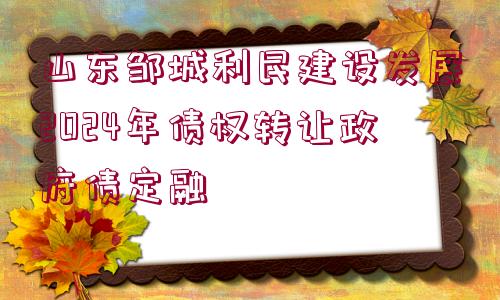 山東鄒城利民建設發(fā)展2024年債權轉讓政府債定融