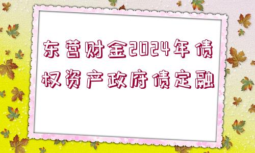 東營(yíng)財(cái)金2024年債權(quán)資產(chǎn)政府債定融