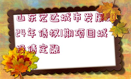 山東宏達城市發(fā)展2024年債權(quán)1期項目城投債定融