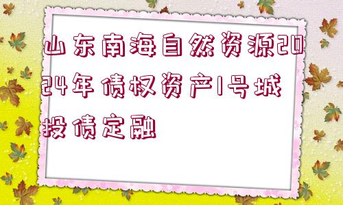 山東南海自然資源2024年債權(quán)資產(chǎn)1號(hào)城投債定融