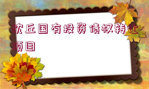 沈丘國(guó)有投資債權(quán)轉(zhuǎn)讓項(xiàng)目