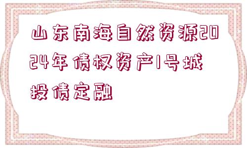 山東南海自然資源2024年債權(quán)資產(chǎn)1號(hào)城投債定融