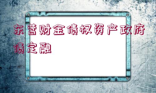 東營(yíng)財(cái)金債權(quán)資產(chǎn)政府債定融