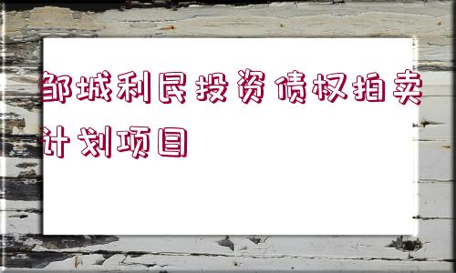 鄒城利民投資債權拍賣計劃項目