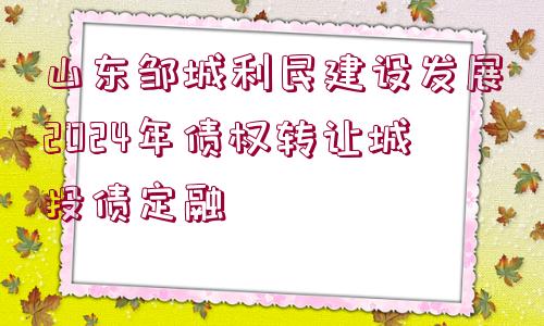 山東鄒城利民建設發(fā)展2024年債權轉讓城投債定融