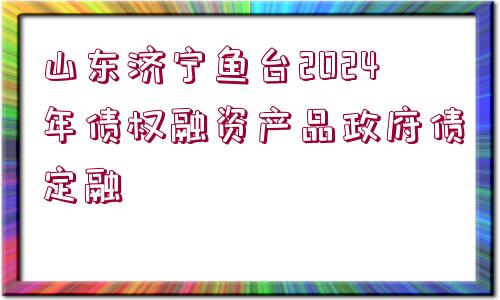 山東濟寧魚臺2024年債權融資產(chǎn)品政府債定融