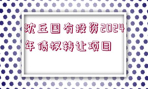 沈丘國有投資2024年債權轉讓項目