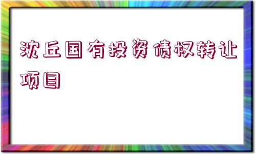 沈丘國有投資債權(quán)轉(zhuǎn)讓項目