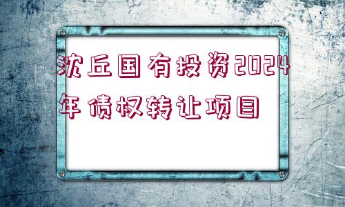 沈丘國有投資2024年債權(quán)轉(zhuǎn)讓項(xiàng)目