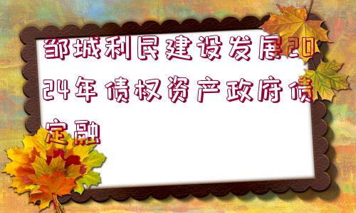 鄒城利民建設發(fā)展2024年債權(quán)資產(chǎn)政府債定融