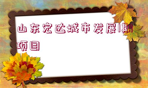 山東宏達(dá)城市發(fā)展1期項目