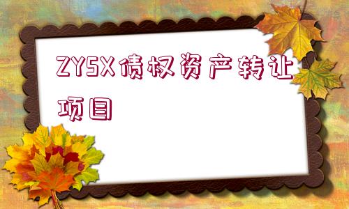 ZYSX債權(quán)資產(chǎn)轉(zhuǎn)讓項(xiàng)目