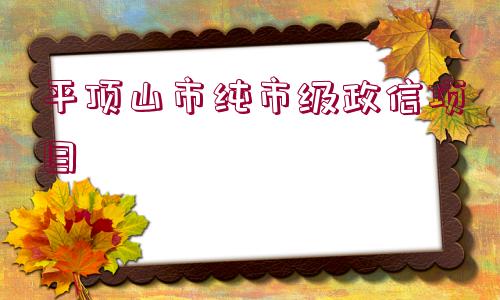 平頂山市純市級政信項目